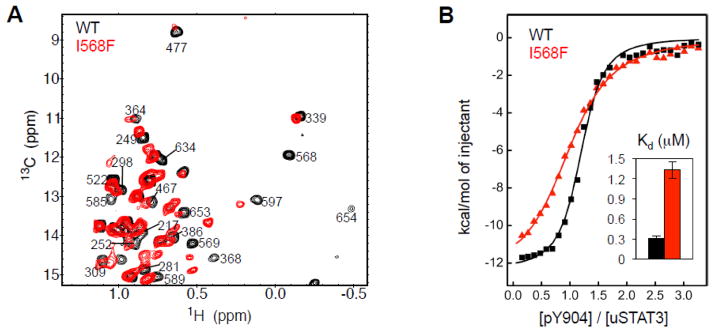 Fig 5