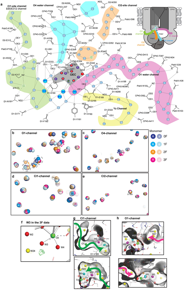 Extended Data Fig. 7 |