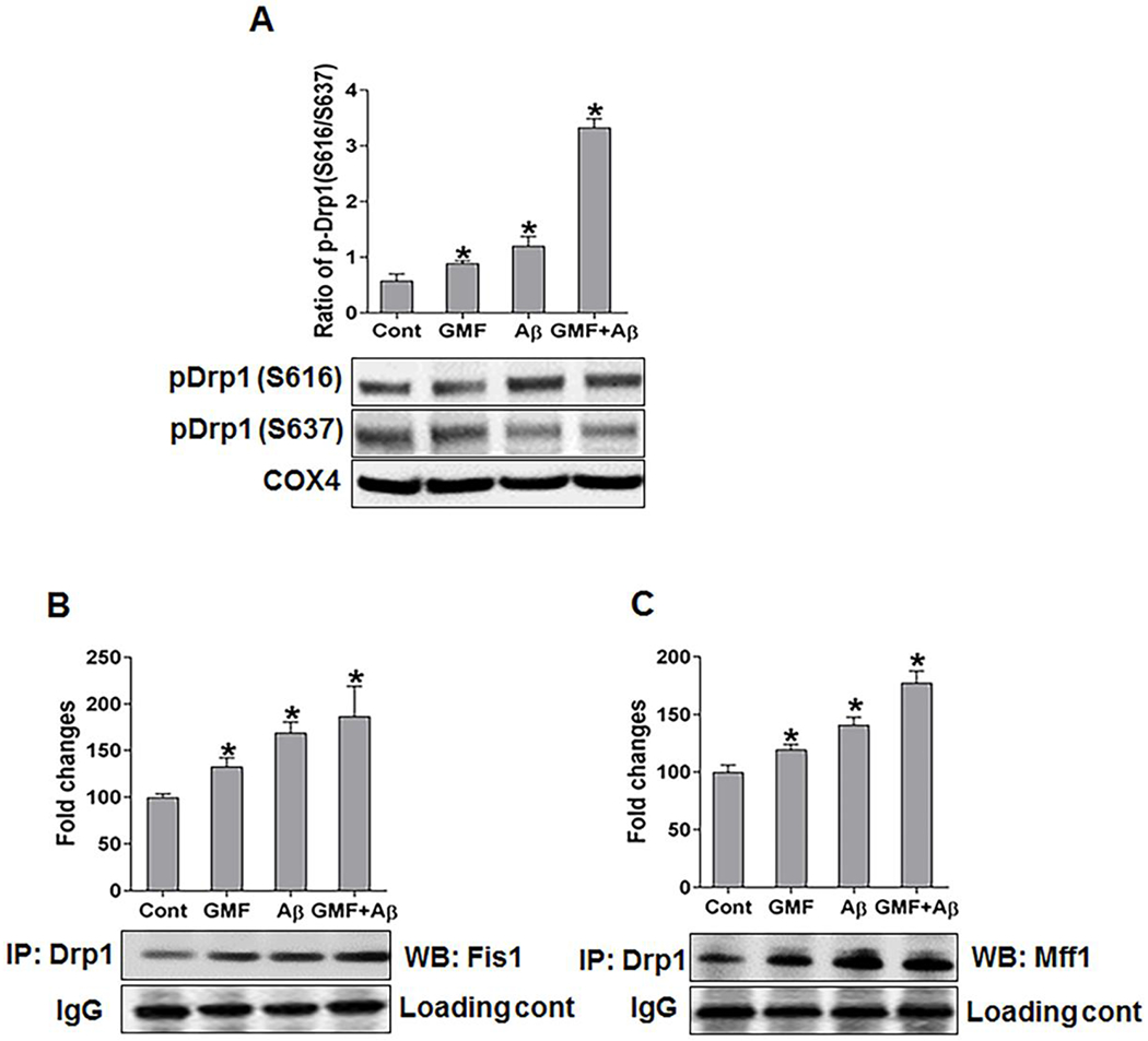 Fig. 3