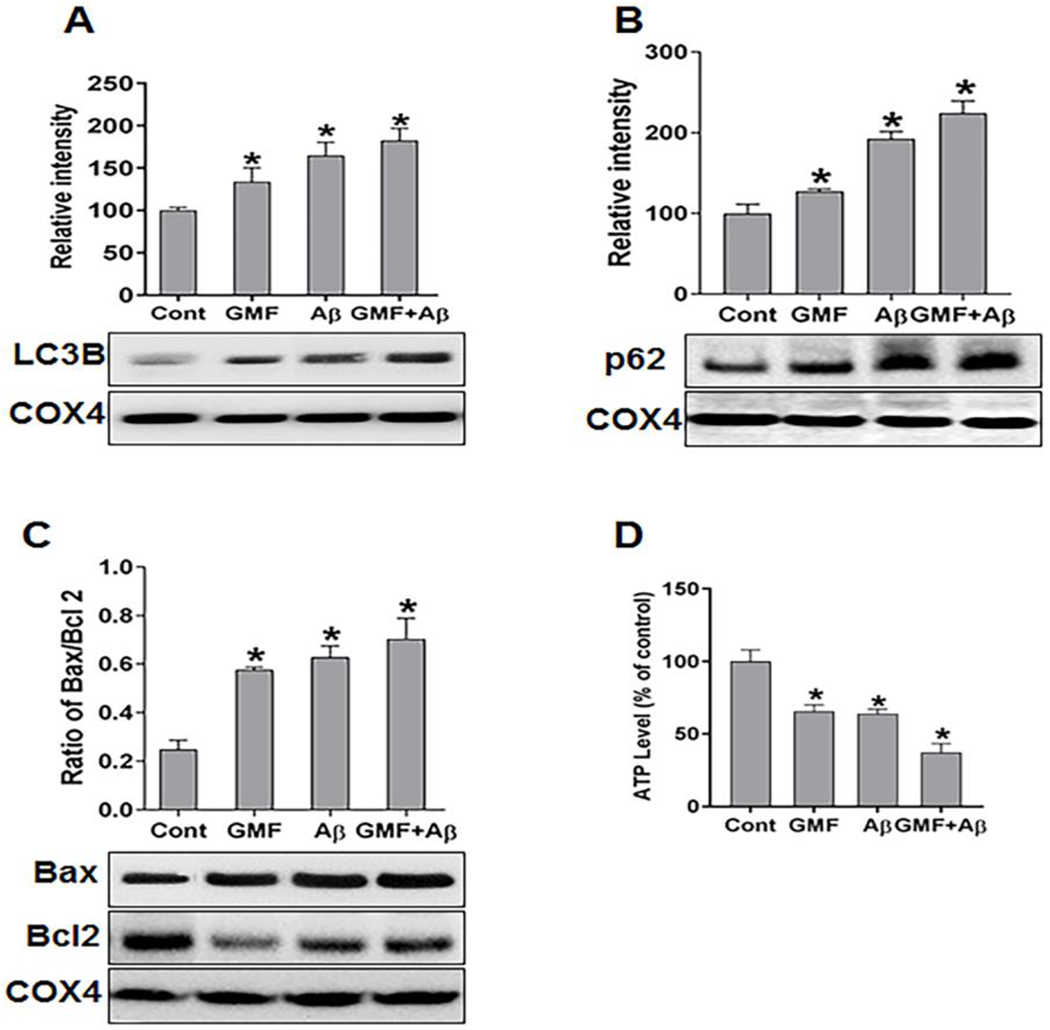 Fig. 6