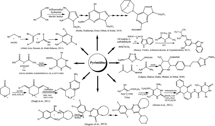 Scheme 5