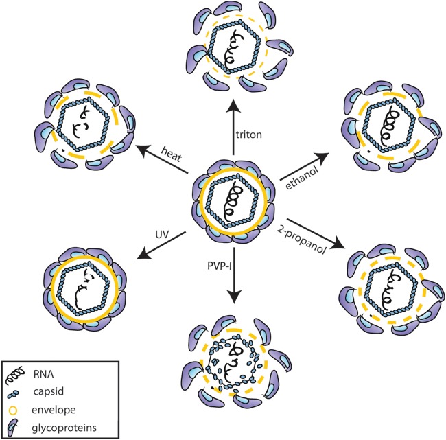 FIG 4