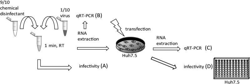 FIG 1