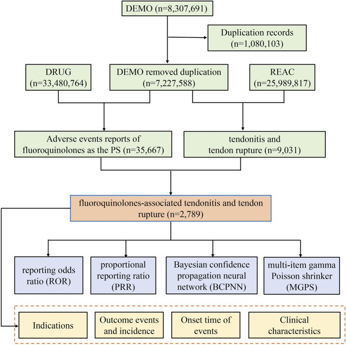 FIGURE 1