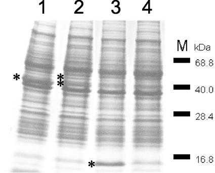 FIG. 2.