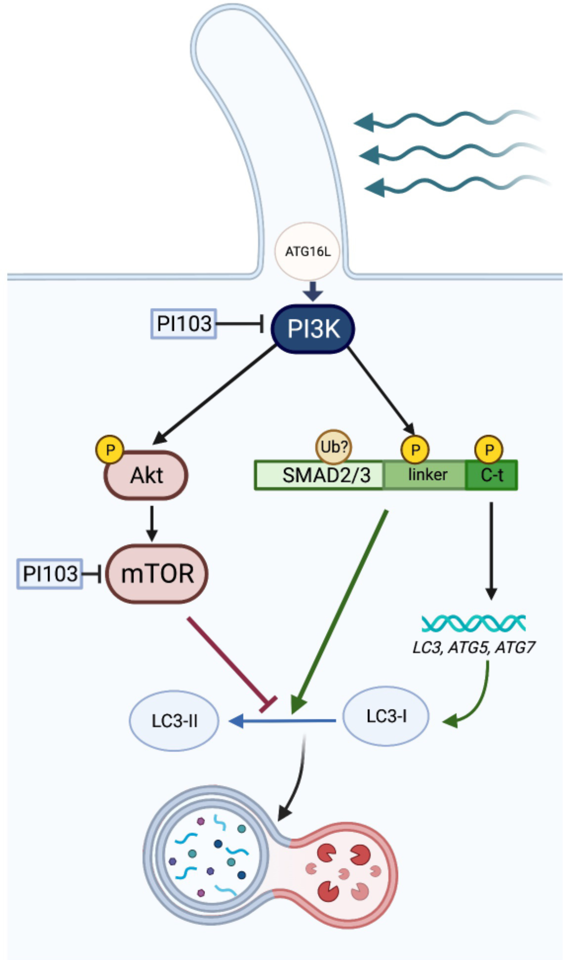 Figure 10.