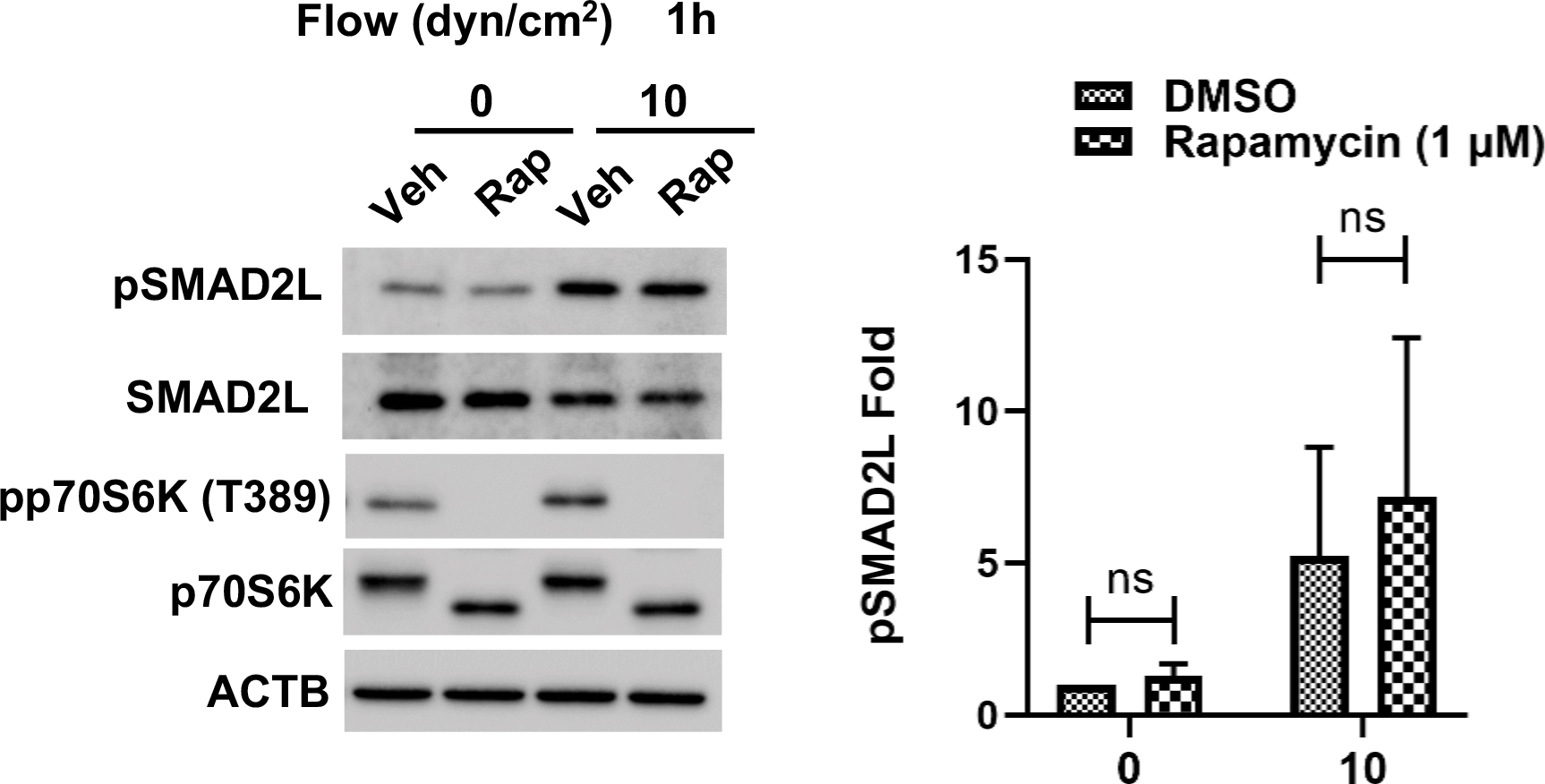 Figure 9.