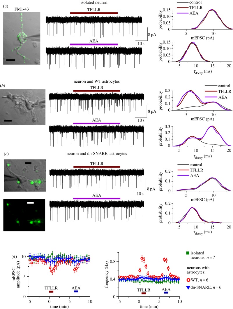 Figure 2.