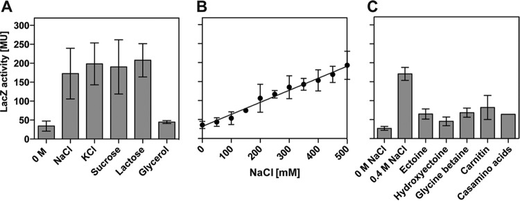 FIG 2