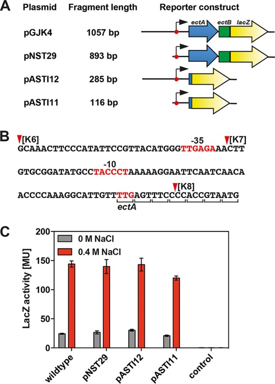 FIG 4