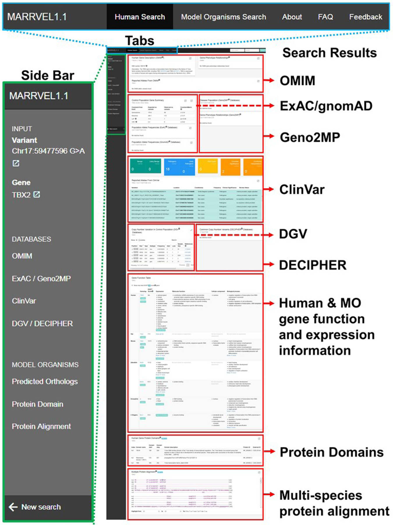 Figure 1.