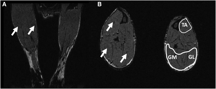 Figure 7