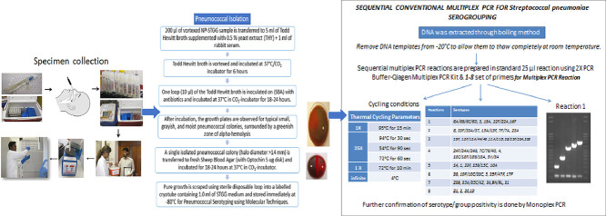 Image, graphical abstract