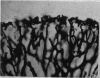 608-3