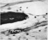 608-2