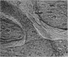 608-2