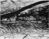 608-1