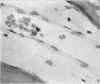 608-2