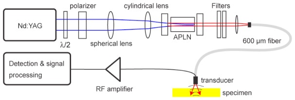 Fig. 2