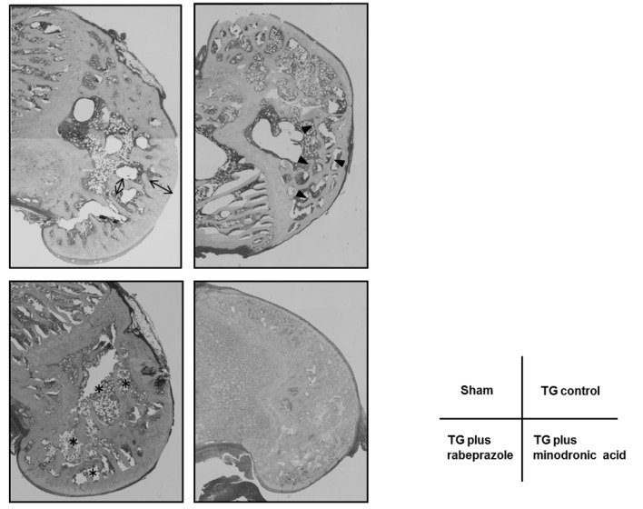 Figure 6.