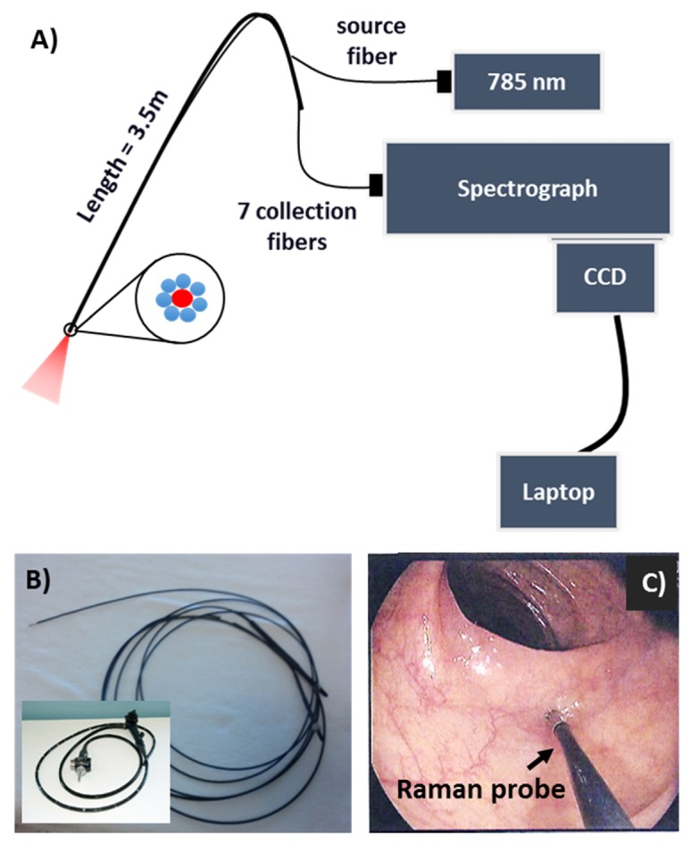 Fig. 1