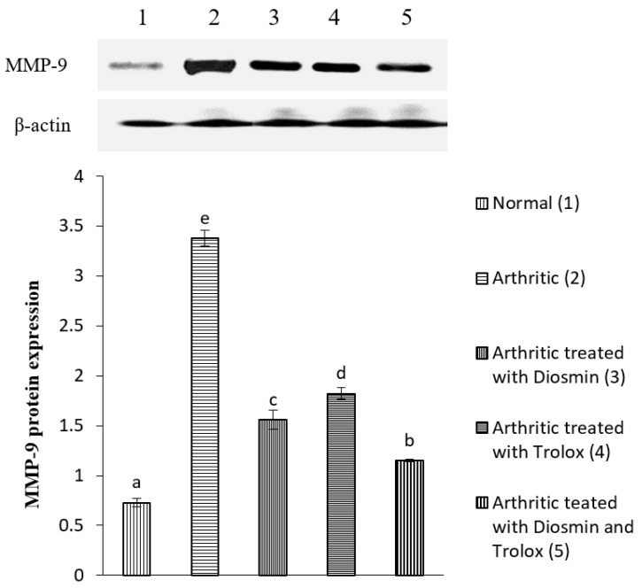 Figure 10