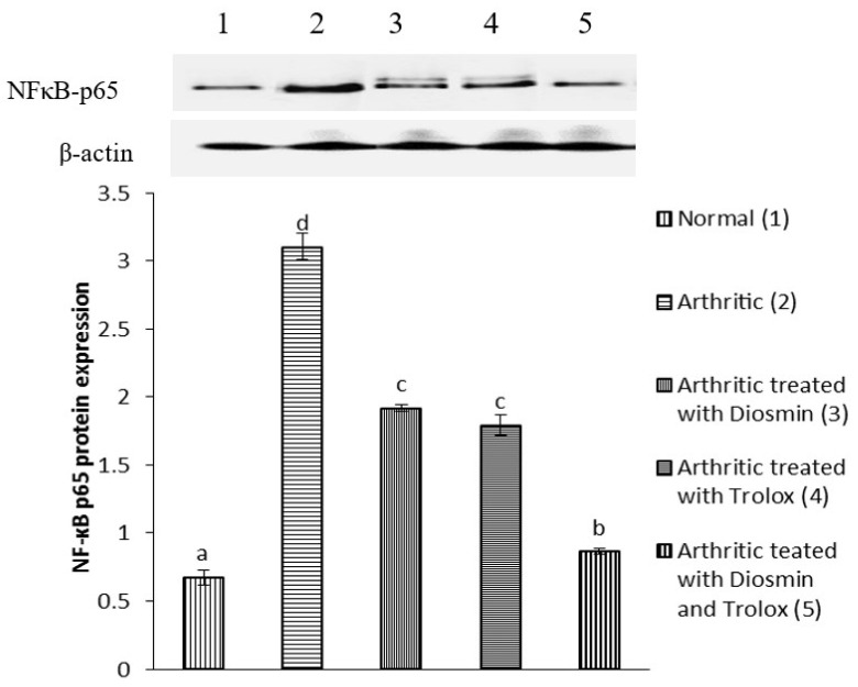 Figure 5