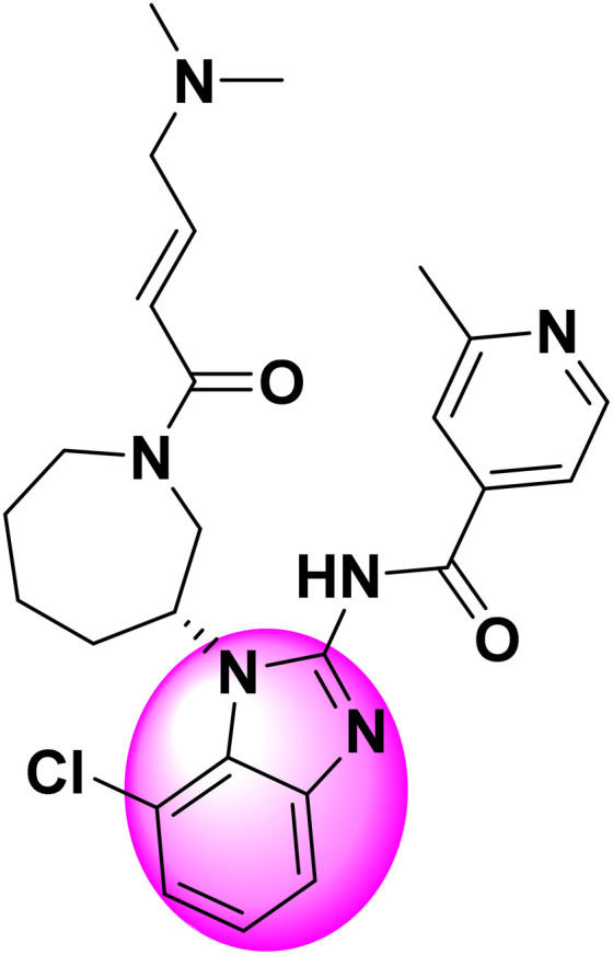 graphic file with name d4md00799a-u3.jpg