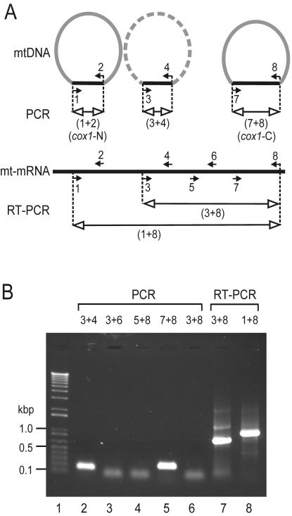 FIG. 7.