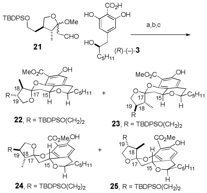 Scheme 5