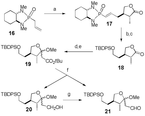 Scheme 4