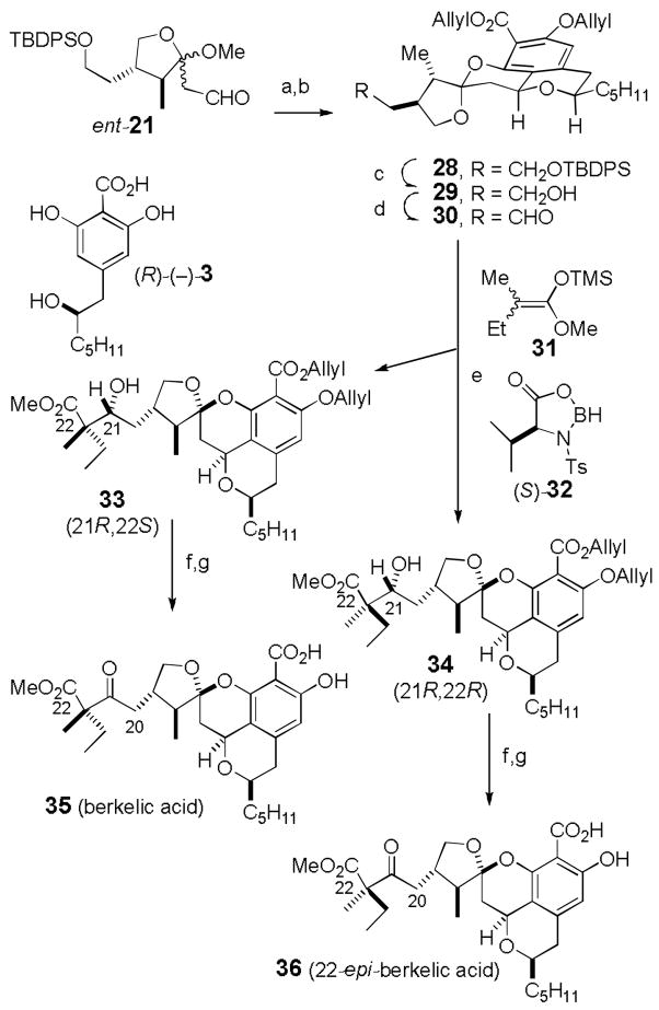 Scheme 7