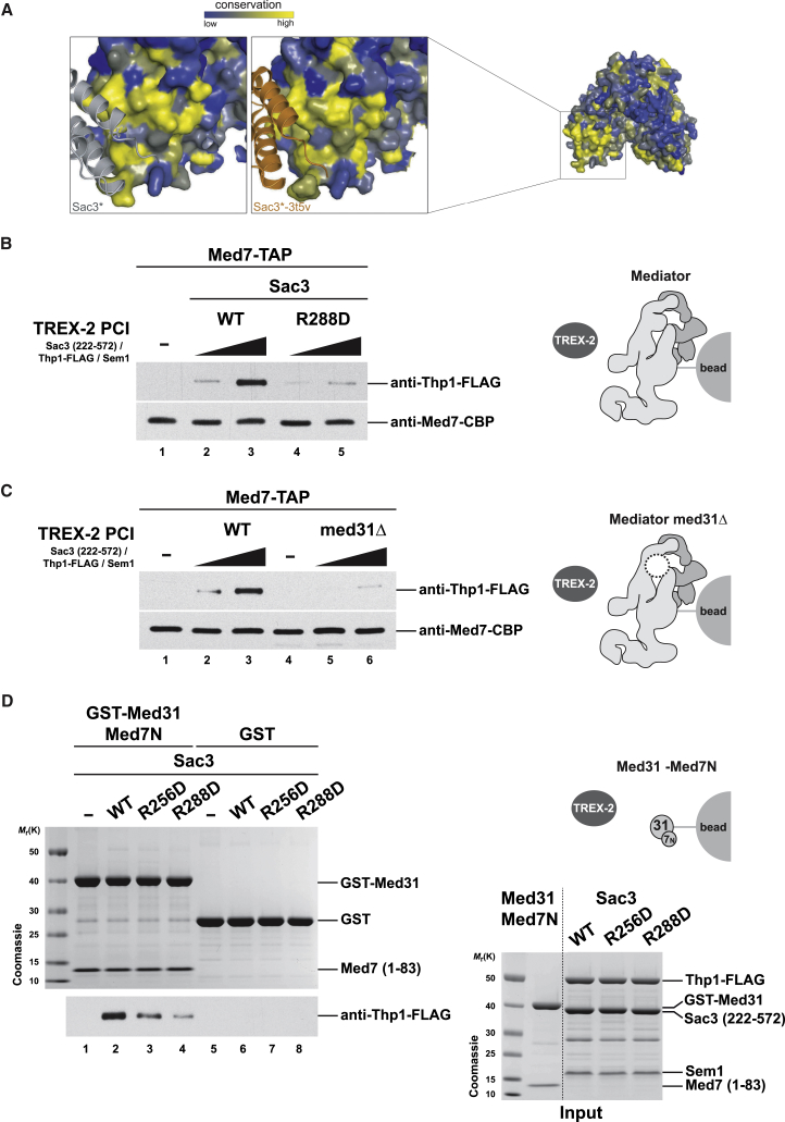 Figure 4