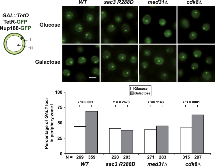 Figure 6