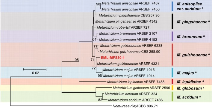 Fig. 2