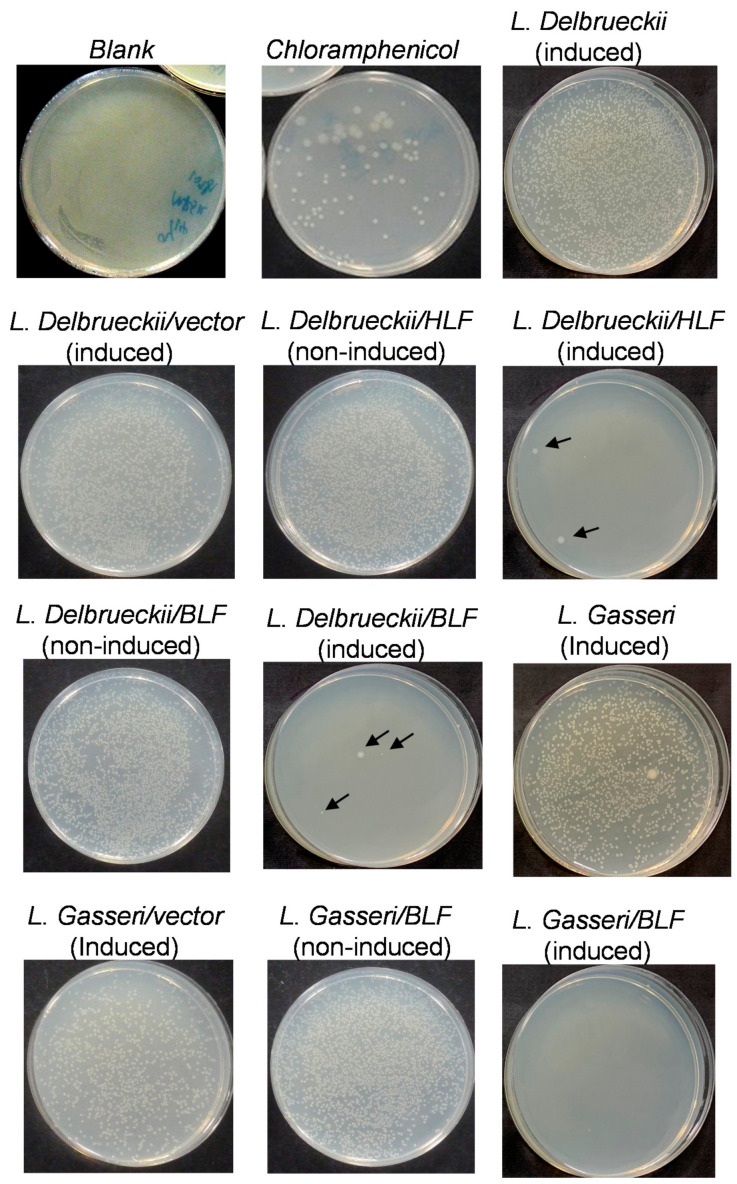 Figure 7