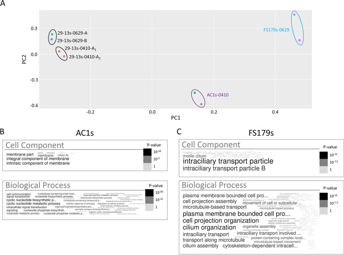 FIG 6