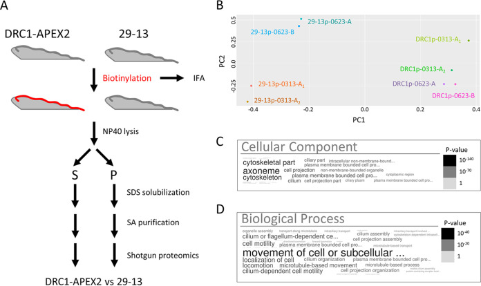 FIG 3