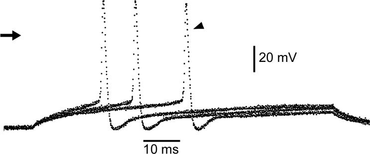 Fig. 4