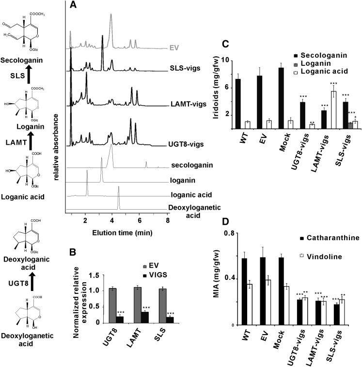 Figure 5.