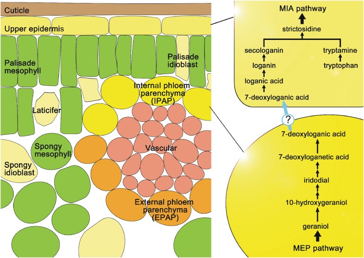 Figure 6.