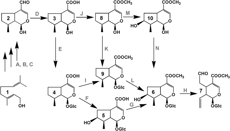 Figure 1.