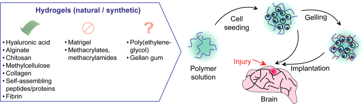 Unlabelled Image