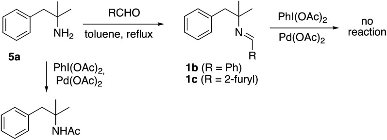 Scheme 3