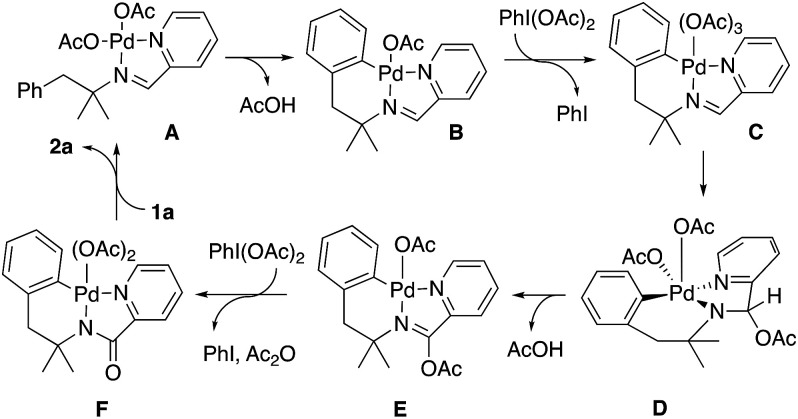 Scheme 8