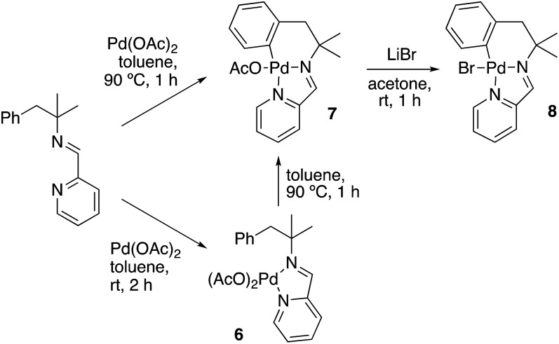 Scheme 6