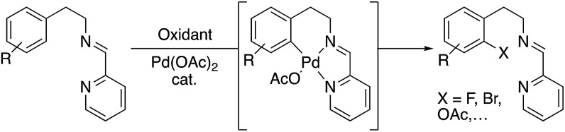 Scheme 1