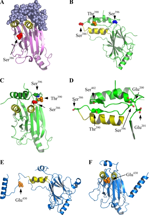 FIGURE 7.