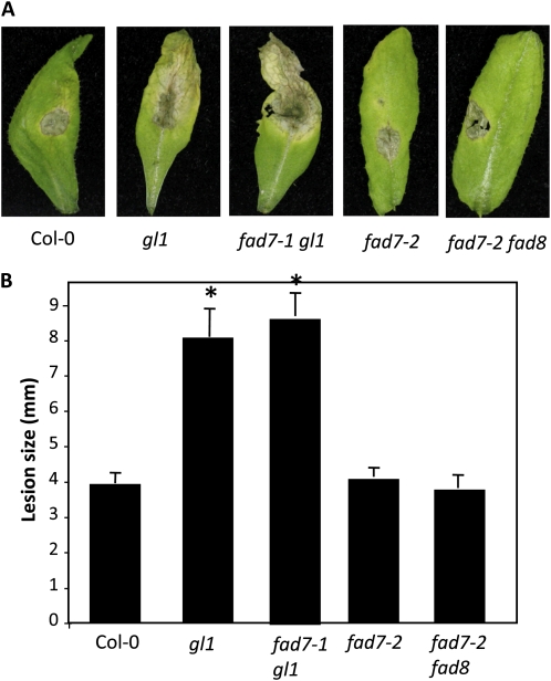 Figure 7.