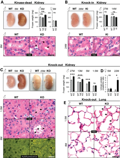 Figure 1.